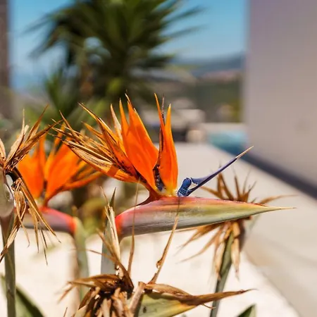 Villa Guestready - Sunset Heaven Calheta