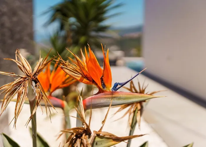 Villa Guestready - Sunset Heaven Calheta (Madeira)